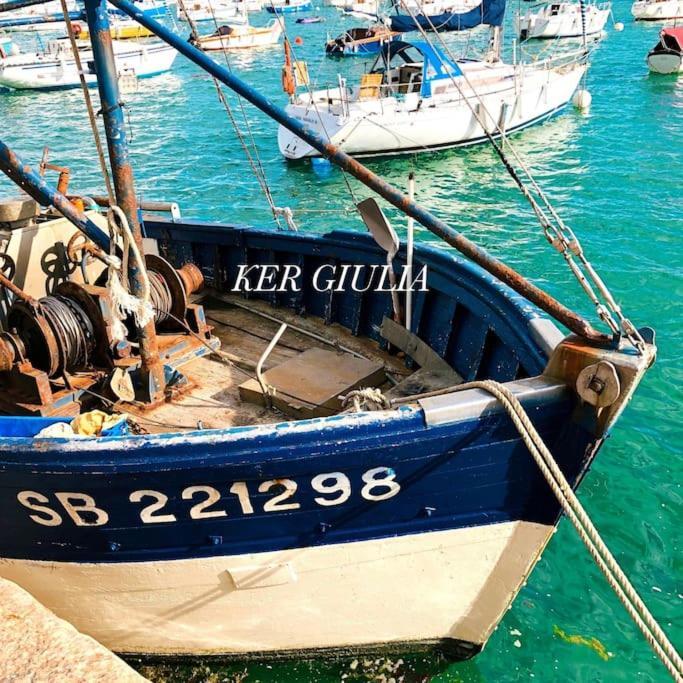 Maison Neuve 4 Etoiles Plain-Pied Proche De La Mer Plurien Kültér fotó